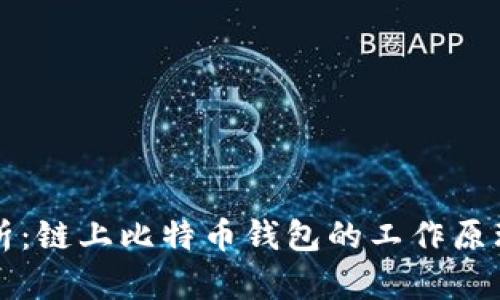 全面解析：链上比特币钱包的工作原理与类型