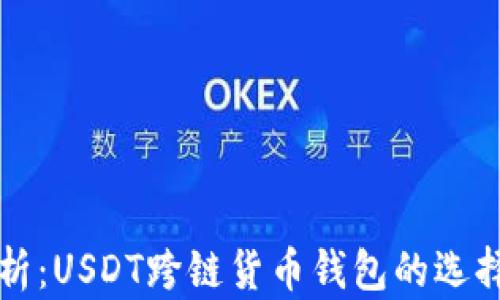 
全面解析：USDT跨链货币钱包的选择与使用