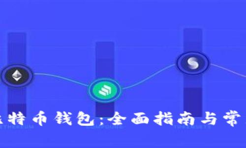 如何新建比特币钱包：全面指南与常见问题解答