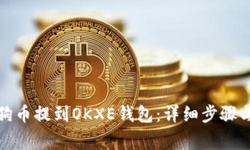 如何将狗狗币提到OKXE钱包：详细步骤与注意事项