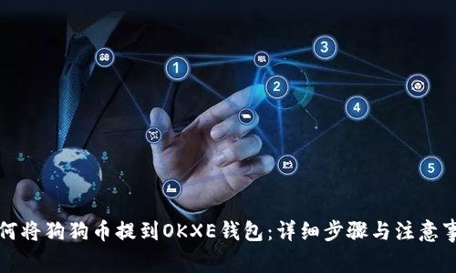 如何将狗狗币提到OKXE钱包：详细步骤与注意事项
