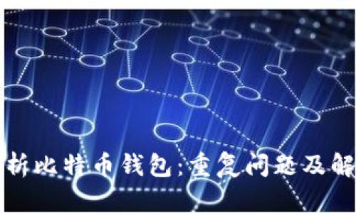 全面解析比特币钱包：重复问题及解决方案