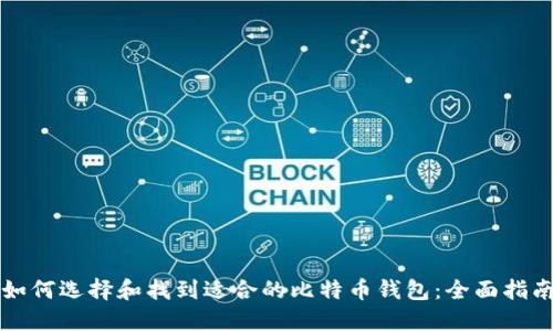 如何选择和找到适合的比特币钱包：全面指南