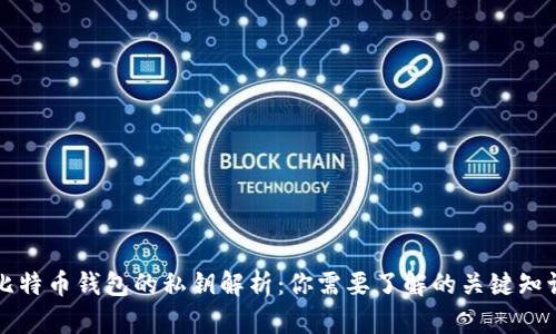 比特币钱包的私钥解析：你需要了解的关键知识
