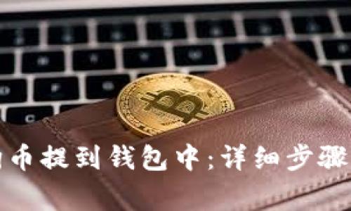 如何将狗狗币提到钱包中：详细步骤与注意事项