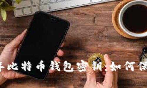 深入解析2009年比特币钱包密钥：如何保护你的数字资产