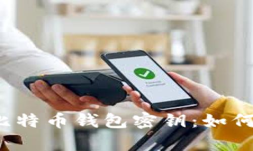 深入解析2009年比特币钱包密钥：如何保护你的数字资产