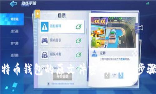 如何找回比特币钱包的原文件密码：详细步骤与注意事项