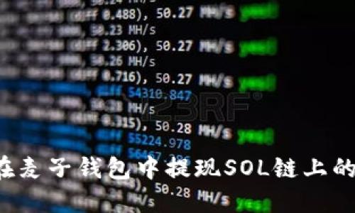如何在麦子钱包中提现SOL链上的USDC