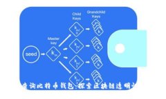 如何查询比特币钱包：探