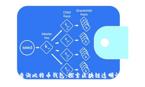 如何查询比特币钱包：探索区块链透明性的实践