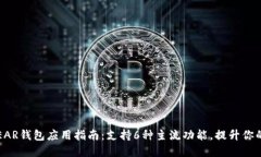 2023年最全面的NEAR钱包应用