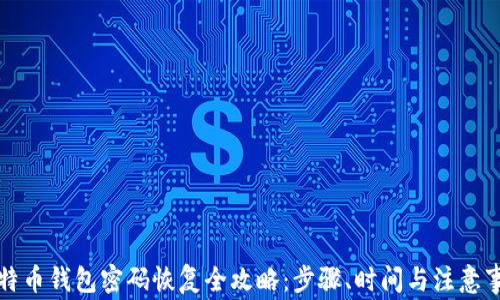 
比特币钱包密码恢复全攻略：步骤、时间与注意事项